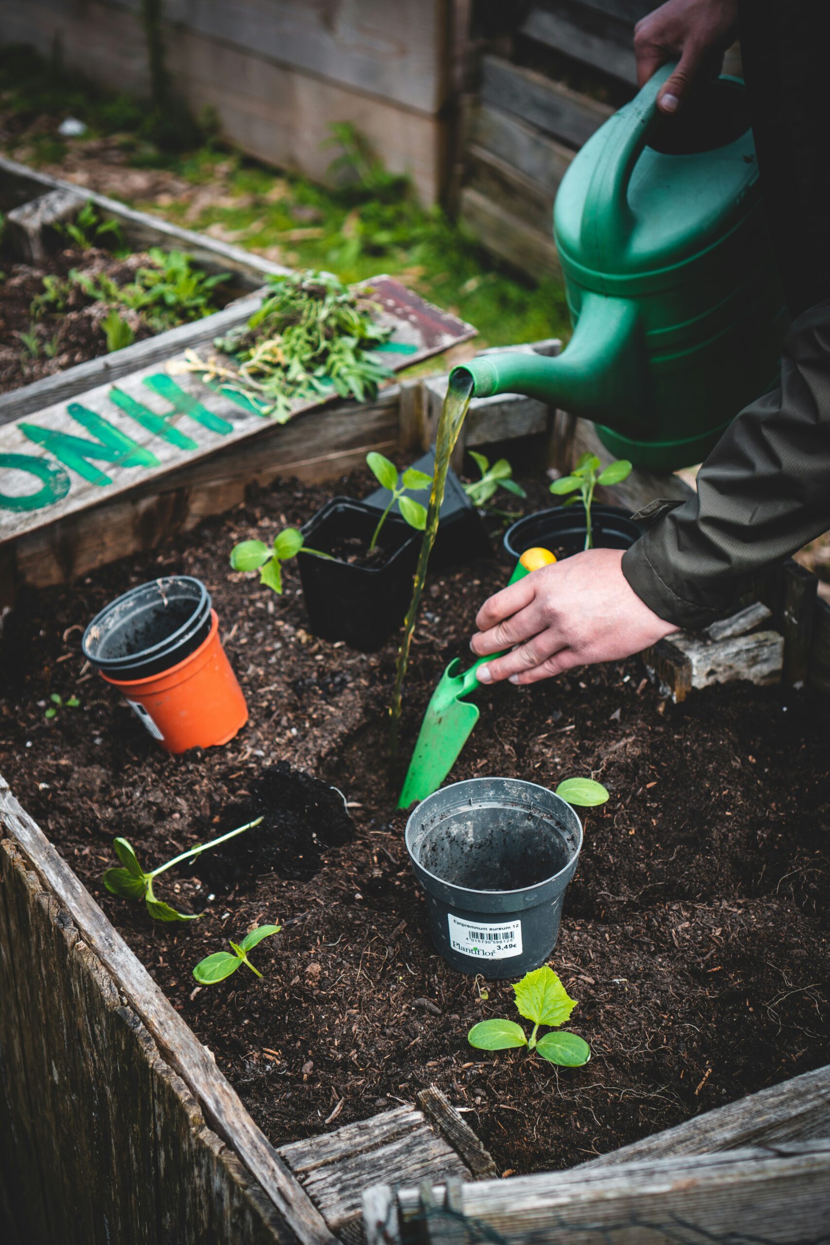 Close-up of hands planting