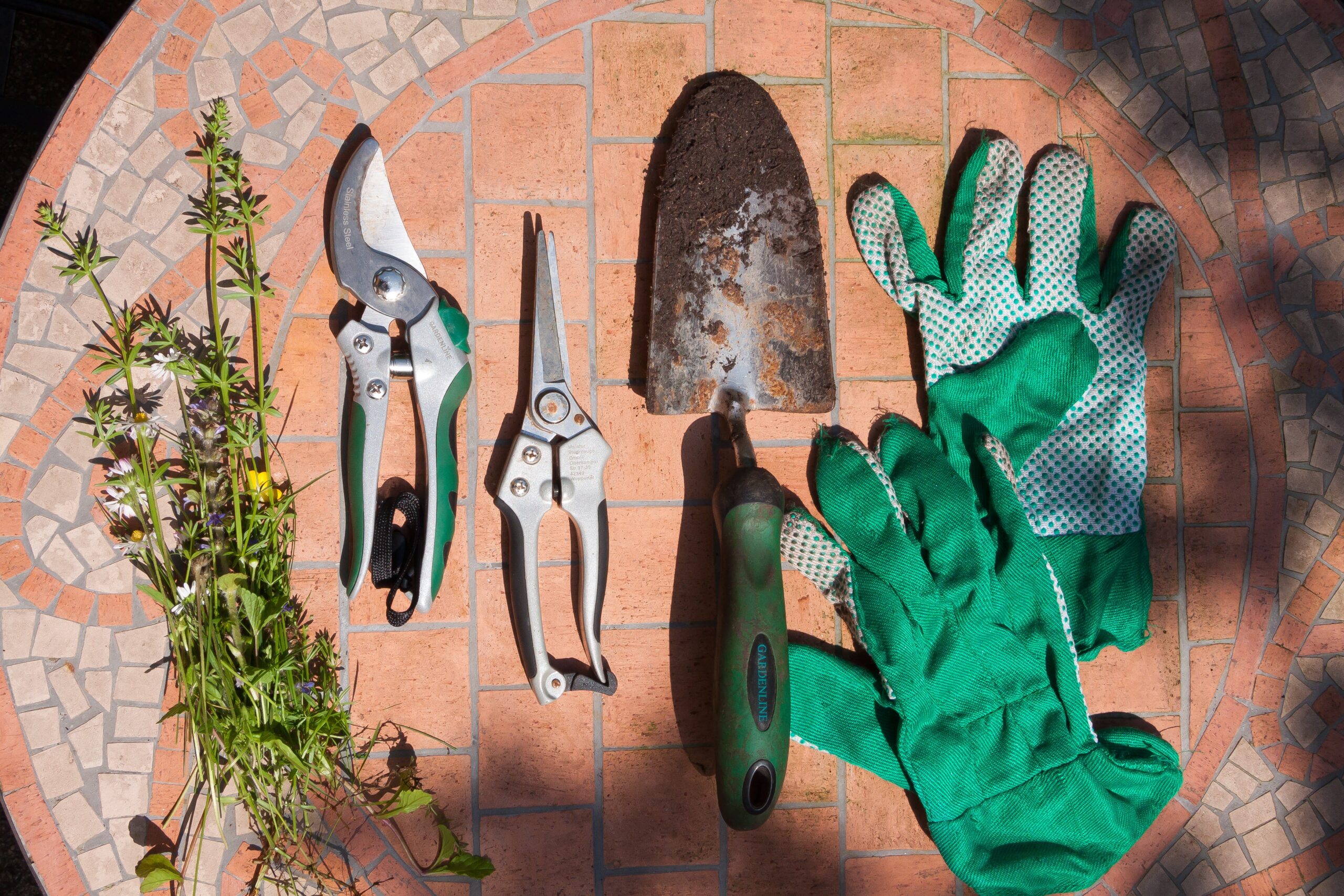 Garden shears
