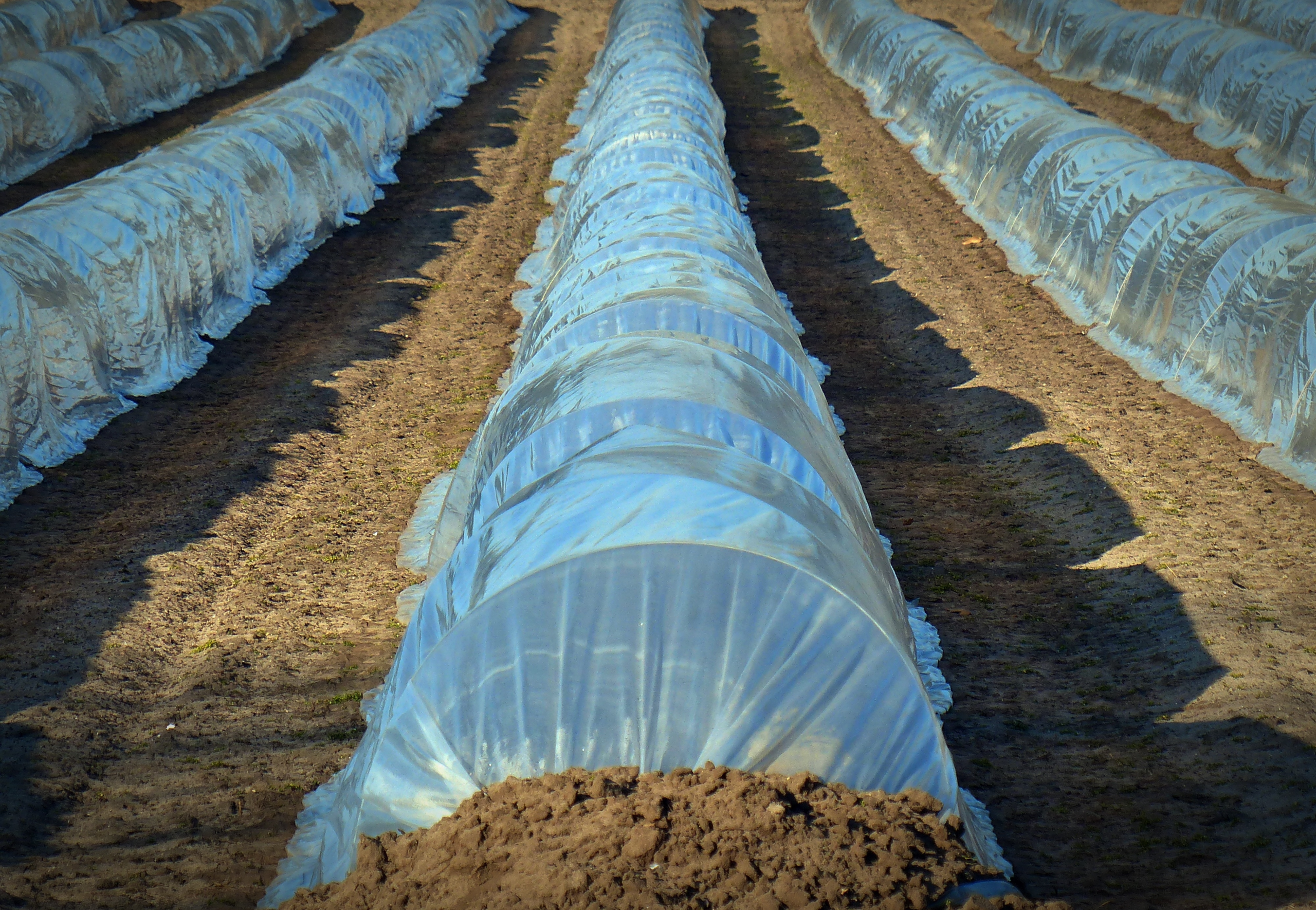 water-soil-covered-agriculture-cover-