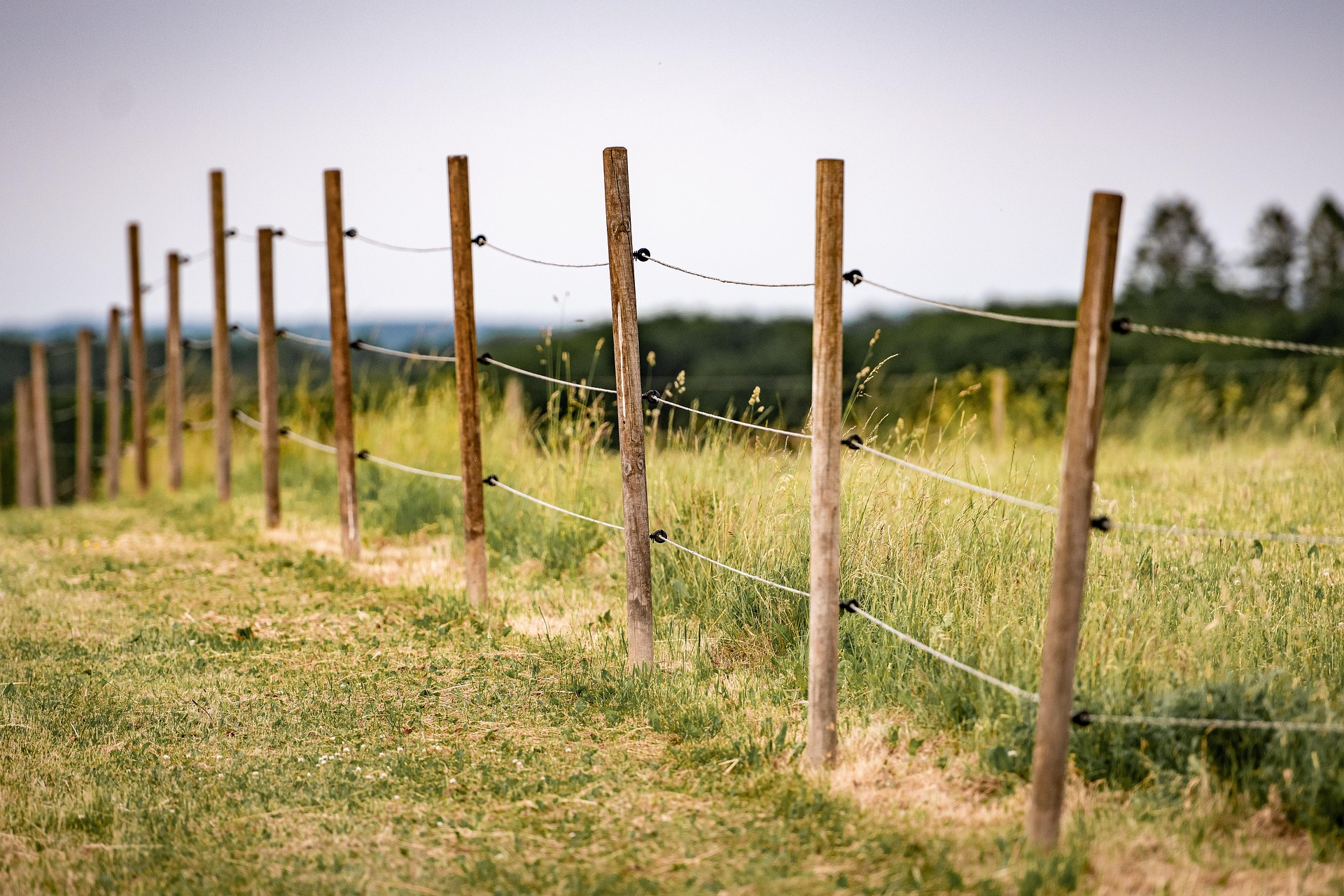 Electric fence
