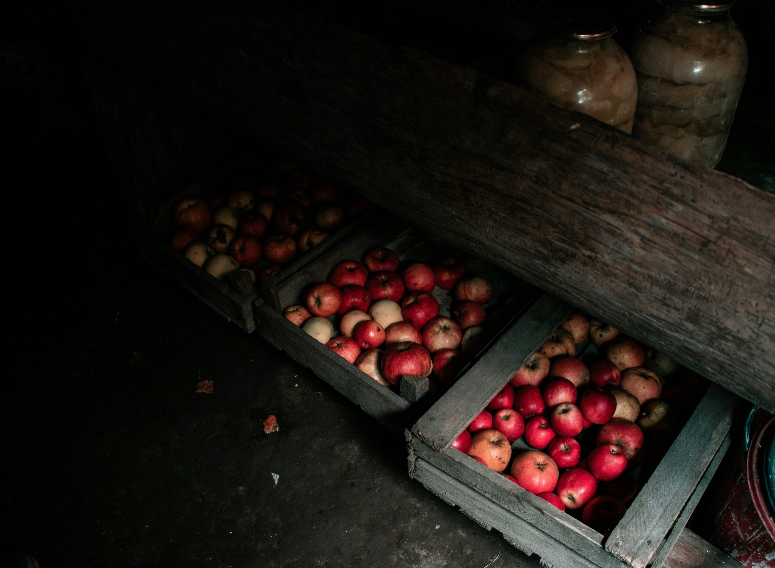 Apples being stored in a cellar